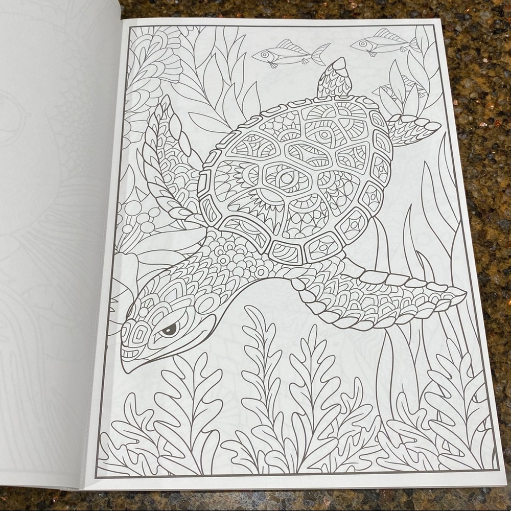 Splash Of Color Adult Coloring Book - Picture 6 of 11